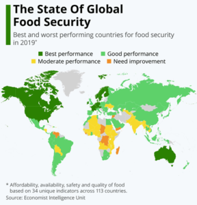 food security during pandemic essay