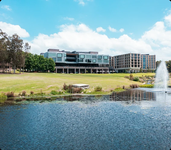 Macquarie University campus